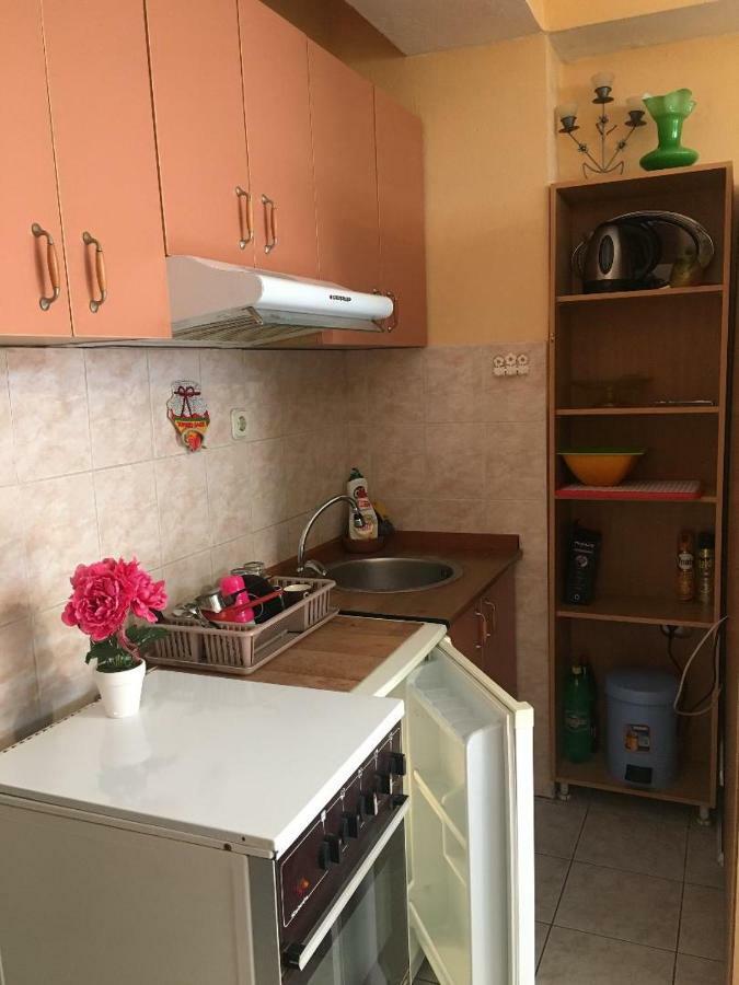 Ani Apartment 奥赫里德 外观 照片